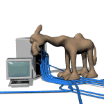 dromadaire_eb-022.gif