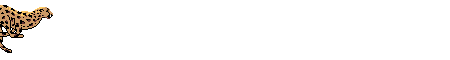 leopard_eb-014.gif