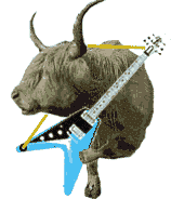 guitariste_eb-050.gif