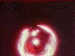 sailomoon_eb-052.gif