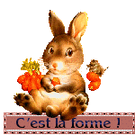 blinkies-coucou_etoileb021.gif