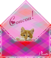 blinkies-coucou_etoileb033.gif