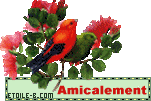 blinkies-amicalement_etoileb011.gif
