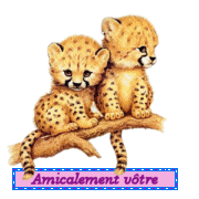 blinkies-amicalement_etoileb012.gif