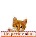 blinkies-tendresse_etoileb026.gif