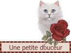 blinkies-tendresse_etoileb035.gif