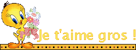 blinkies-aime_etoileb024.gif