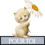 blinkies-pour_toi_etoileb009.gif
