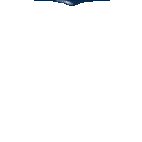 Vacances_loisirs_etoileb-023.gif