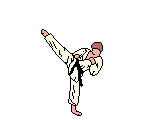 combat_eb-006.gif