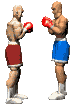 boxe_eb-015.gif