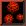 mini-puce_eb-011.gif