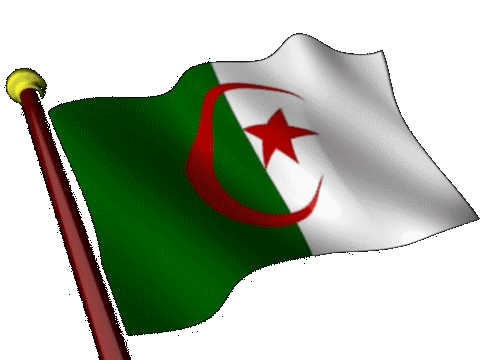 drapeau-Sahara-Occidental-etoileb-004.gif