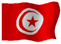 drapeau-Tunisie-etoileb-001.gif