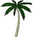 plage-palmiers-etoileb-002.gif