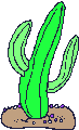 cactus-etoileb-027.gif