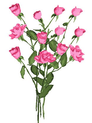 Fleurs-Bouquet-Plante-etoileb-047.gif