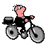 Velo-Transport-etoileb028.gif