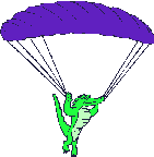 Avion-etoileb086.gif